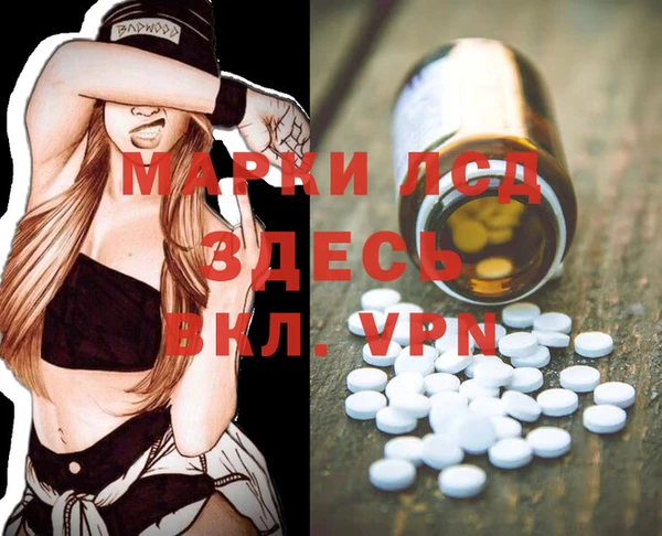 винт Ельня