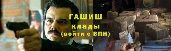 винт Ельня