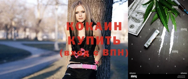 винт Ельня